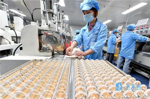 小工廠里的大智慧 高科技技術(shù)開發(fā)之路